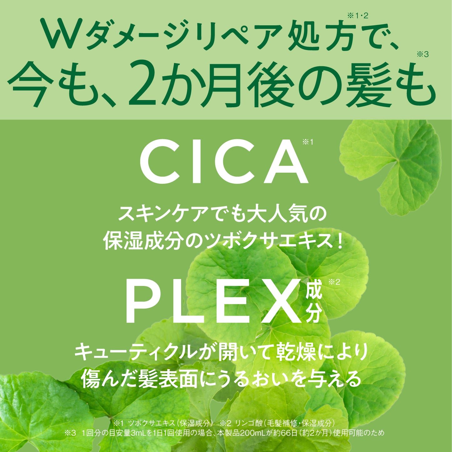 【濃縮シャンプー】CICA HOLIC by Violet（シカホリック）詰め替え用 ディープモイスチャー
